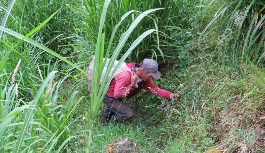 Esfuerzo que poco se reconoce. El campesino.